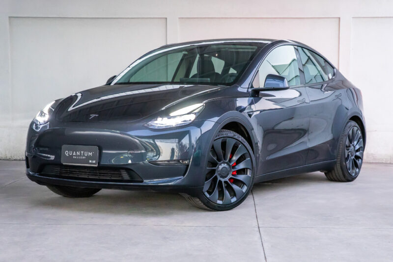 Tesla Model Y Performance