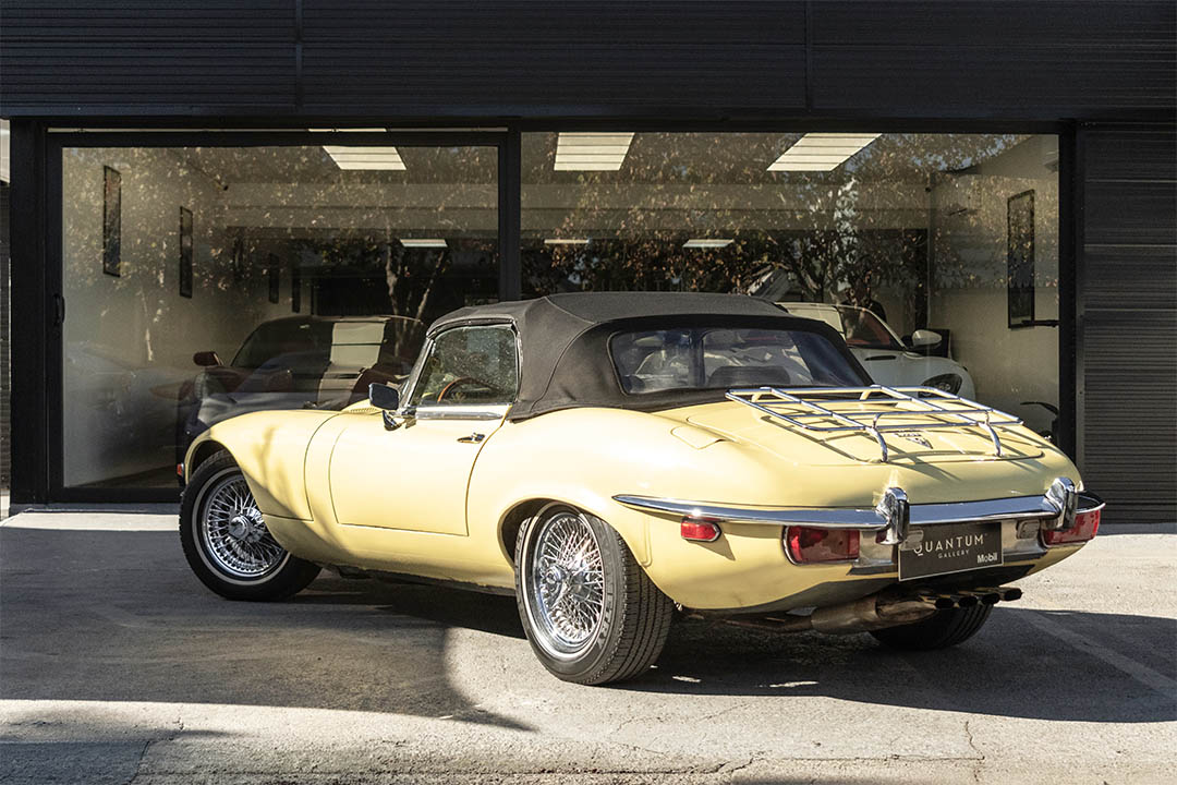 JAGUAR_0001_AFL_5633-Edit jaguar 29