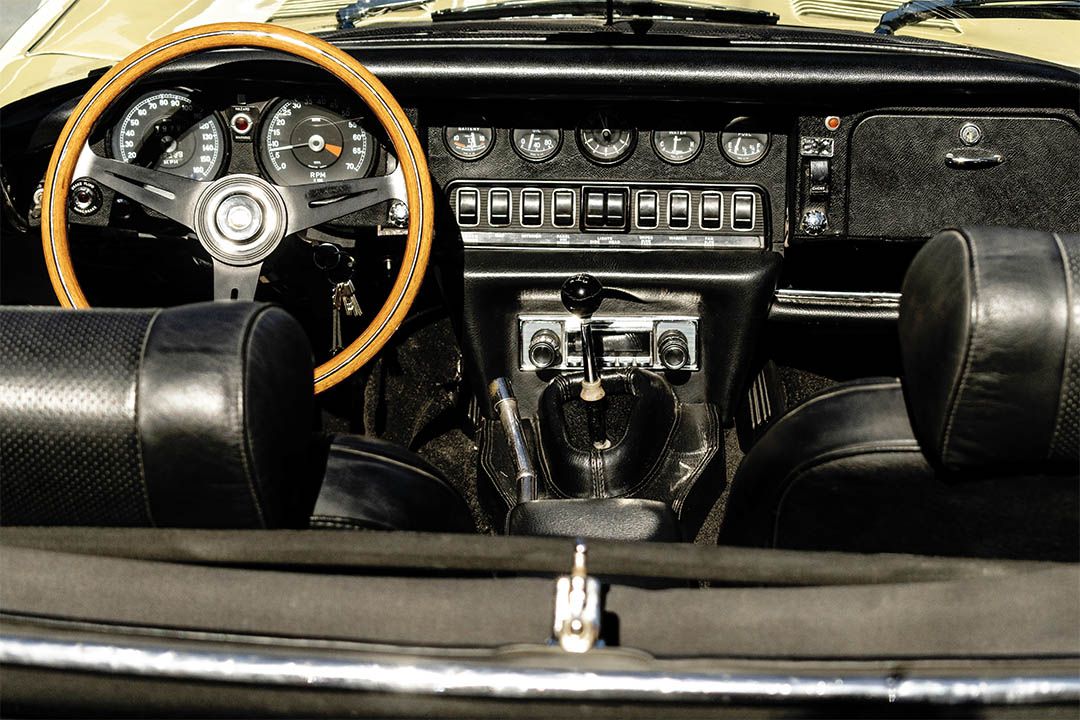 JAGUAR_0007_AFL_5583-Edit jaguar 15
