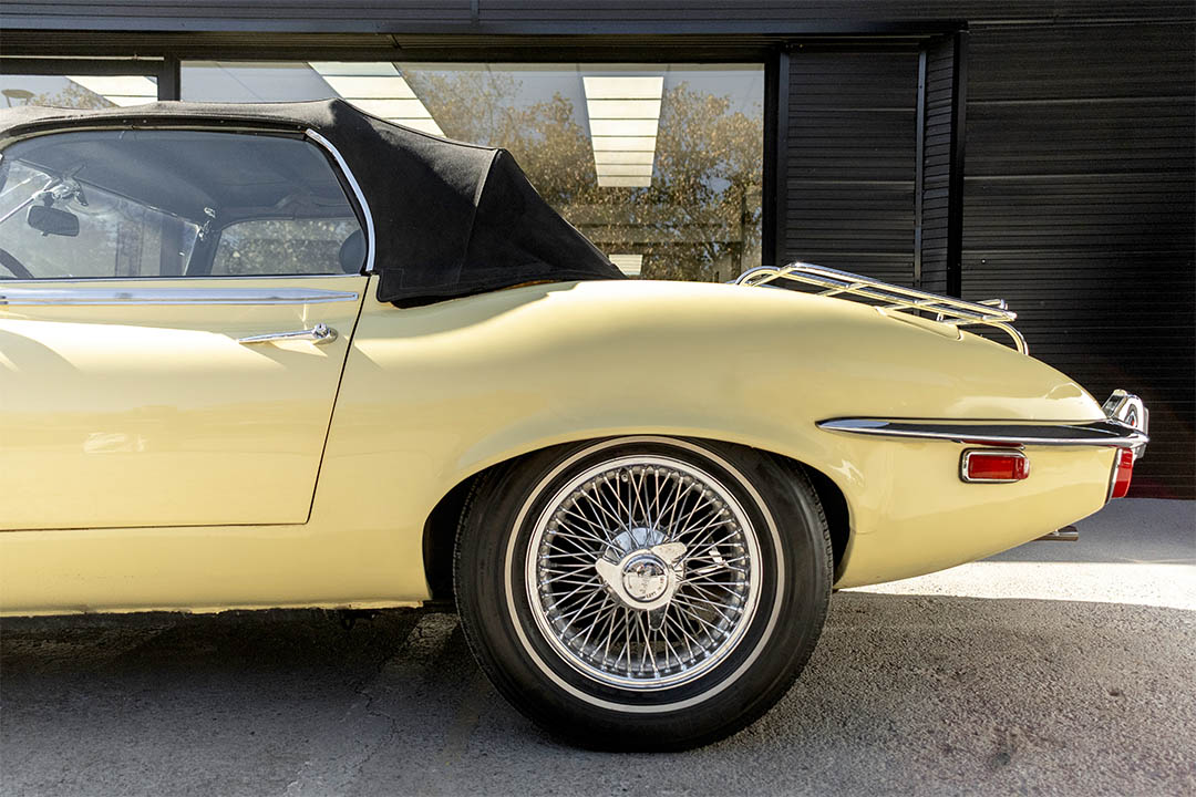 JAGUAR_0020_AFL_5521-Edit jaguar 12