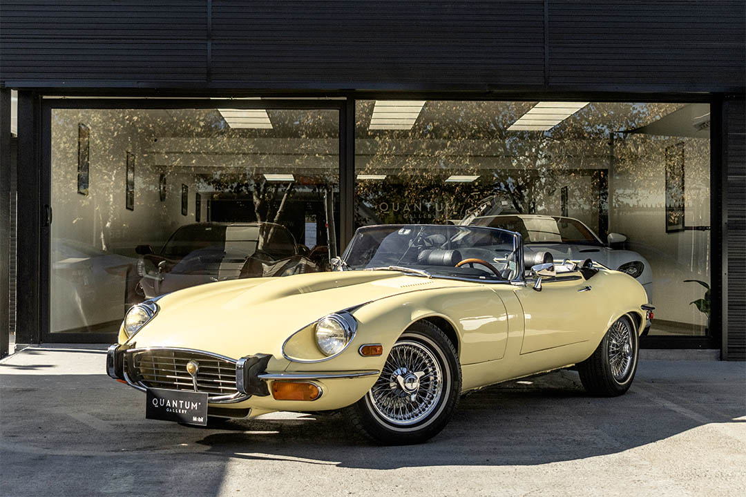 JAGUAR_0025_AFL_5496-Edit jaguar 3