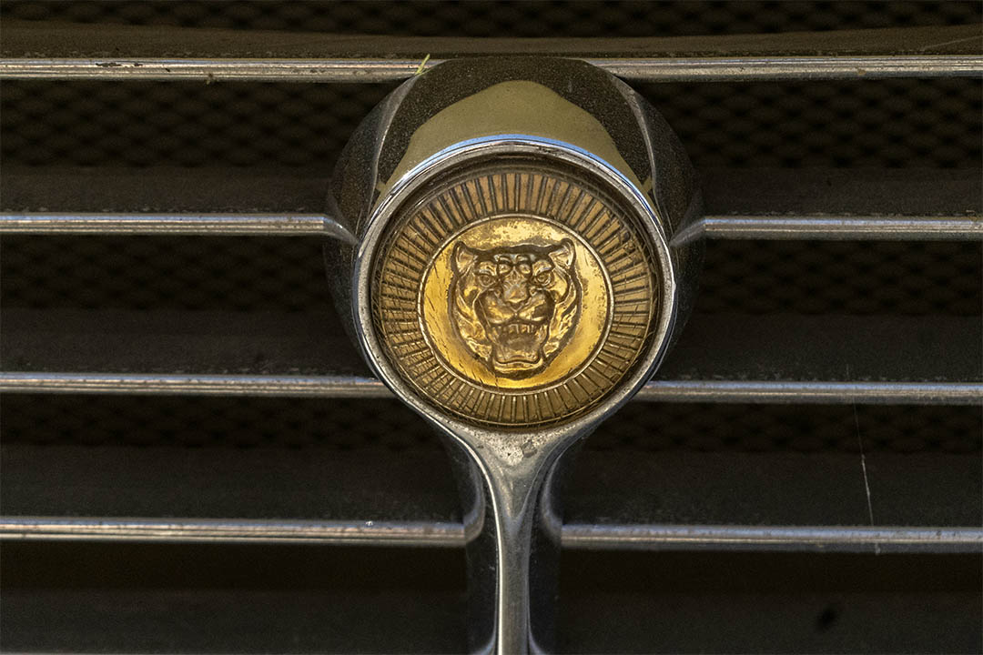 JAGUAR_0028_AFL_5477-Edit jaguar 8
