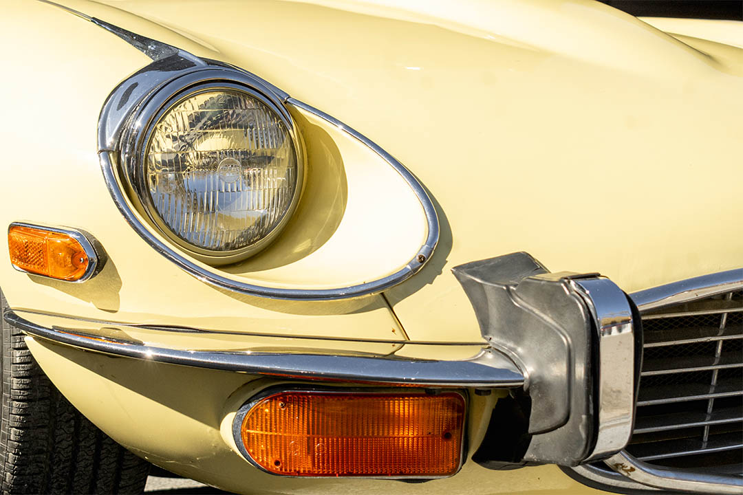 JAGUAR_0029_AFL_5476-Edit jaguar 7