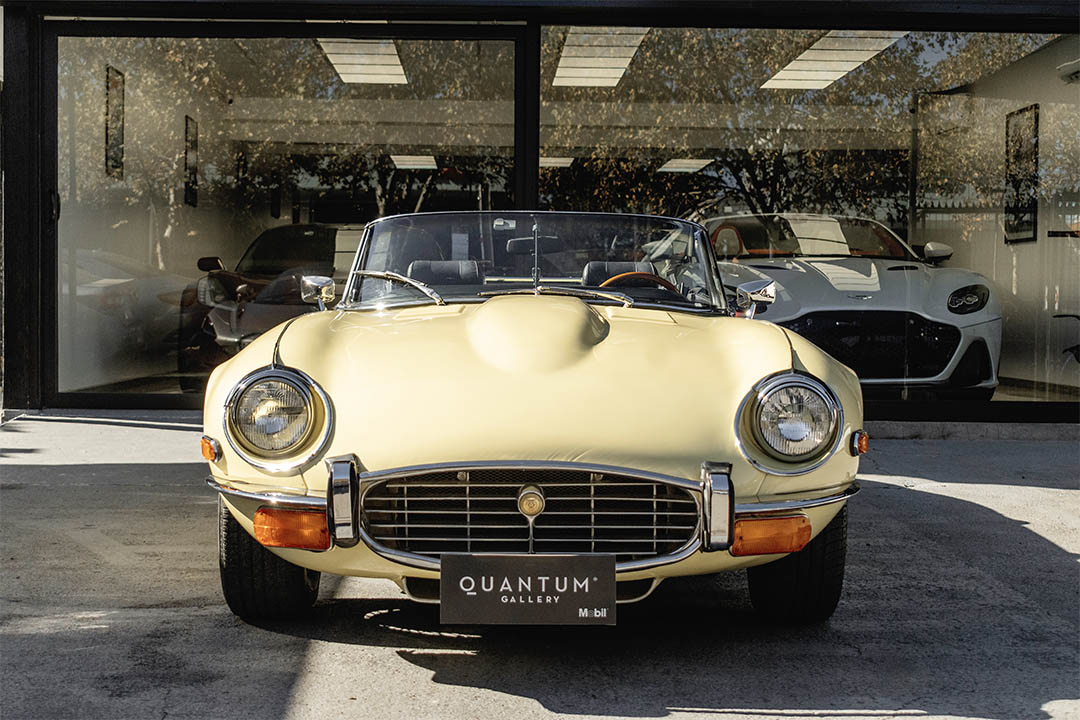 JAGUAR_0030_AFL_5475-Edit jaguar 2