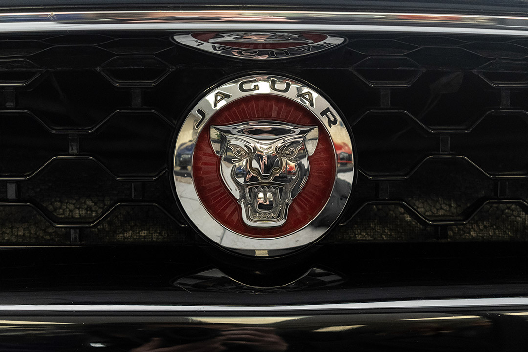 JAGUAR-1_0003_AFL_8289-Edit jaguar 11