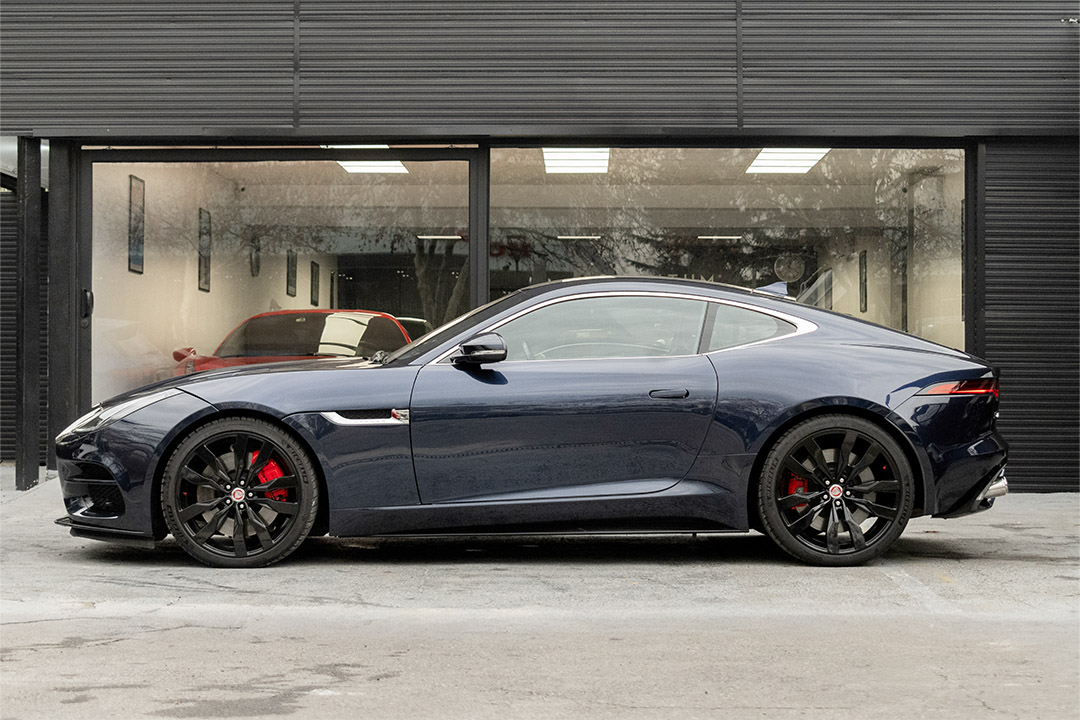 JAGUAR-1_0010_AFL_8263-Edit jaguar 4
