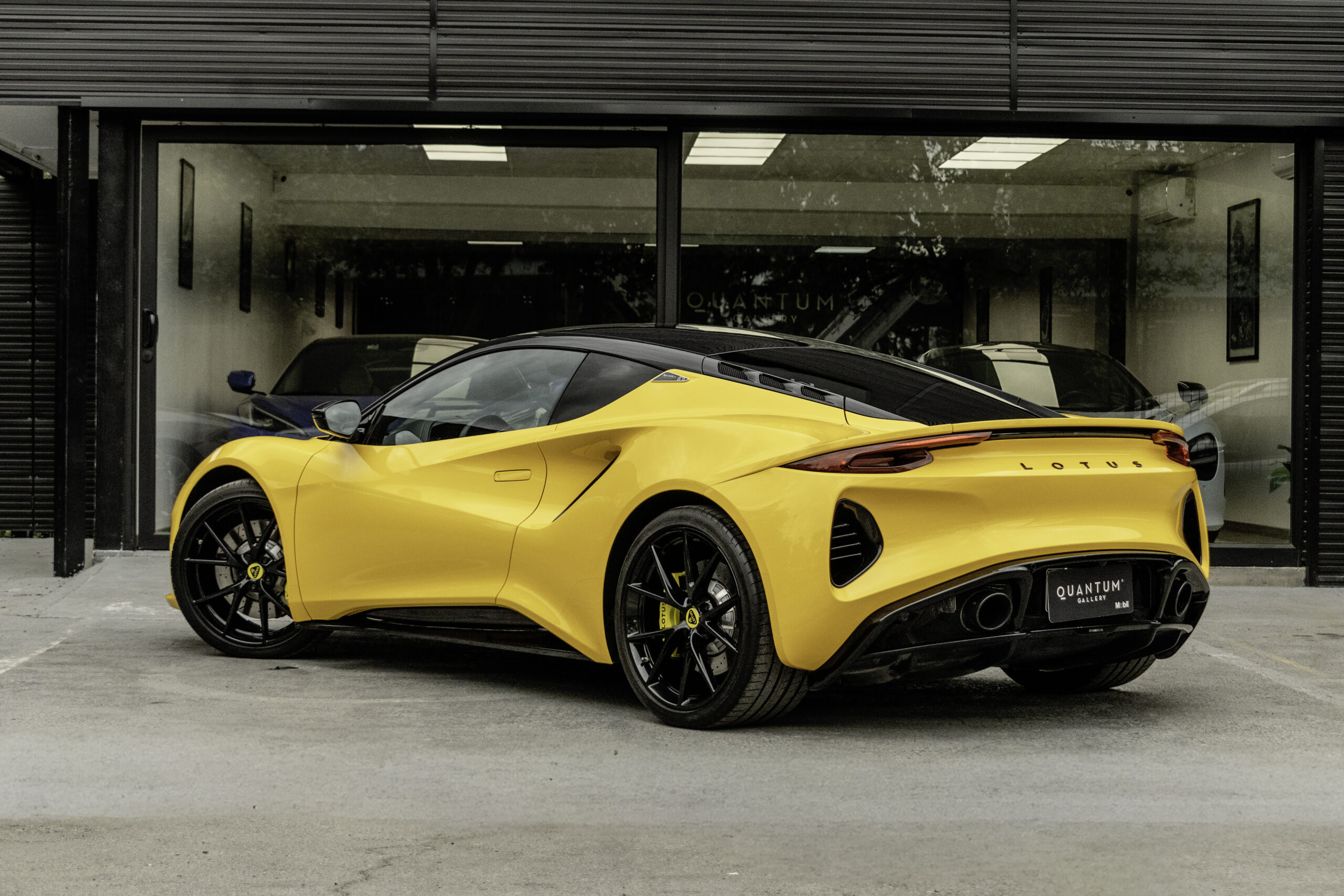 AFL_9188-Edit lotus 3