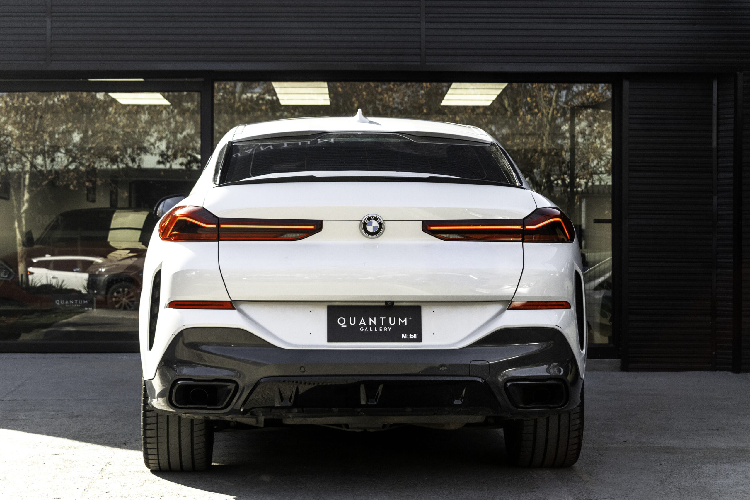 AFL_7243-Edit bmw x6 19